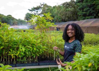 Em linha com agenda da COP30, Zurich ajuda a expandir oportunidades no Vale do Rio Doce - Créditos: Lucas Barcelos