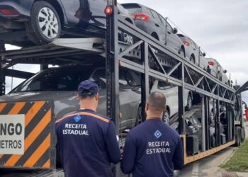 Linhares: fiscalização apreende R$ 1,1 milhão em mercadorias sem nota - Foto: Sefaz