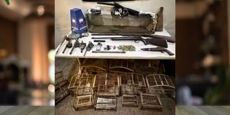 Polícia apreende armas e animais no Sul do ES - Foto: Reprodução