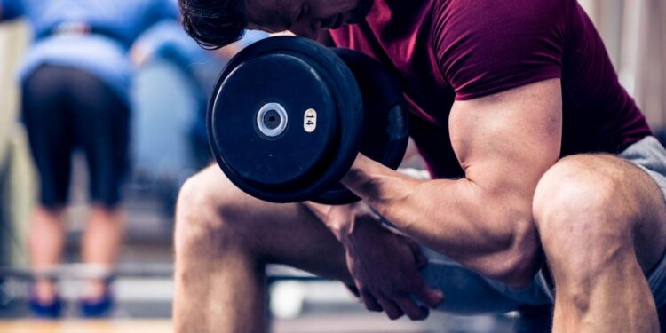 Bulking em alta: suplementos alimentares auxiliam no ganho de massa muscular - Foto: Reprodução