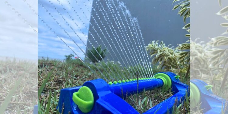 Regar x Molhar: entenda a diferença e cuide melhor das suas plantas - Foto: Divulgação