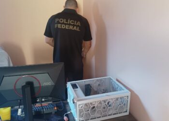 PF deflagra Operação Adeona IX contra abuso sexual infantojuvenil no ES - Foto: PFES