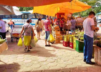 Feiras de Colatina: confira funcionamento durante as festas de fim de ano - Foto: Augusto Zulske