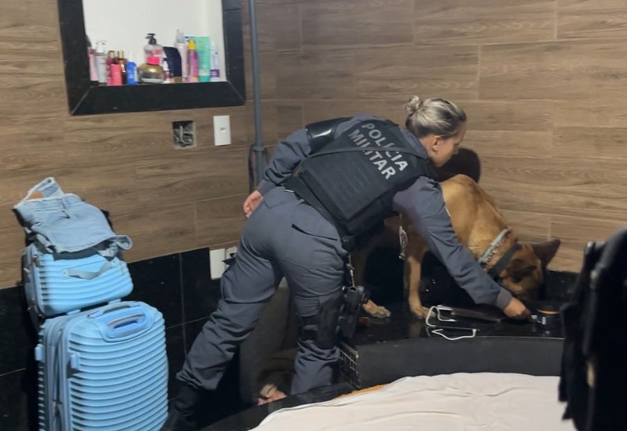 Operação interdita cinco casas noturnas em Colatina - Foto: Comunicação/PMC