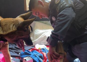 Operação interdita cinco casas noturnas em Colatina - Foto: Comunicação/PMC