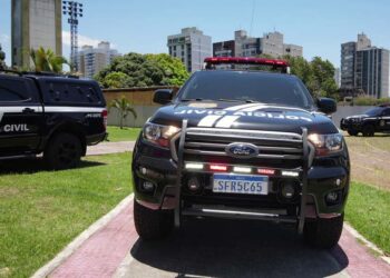 Mulher que alegou defesa é indiciada por matar pitbull com foice e enforcamento - Foto: PCES