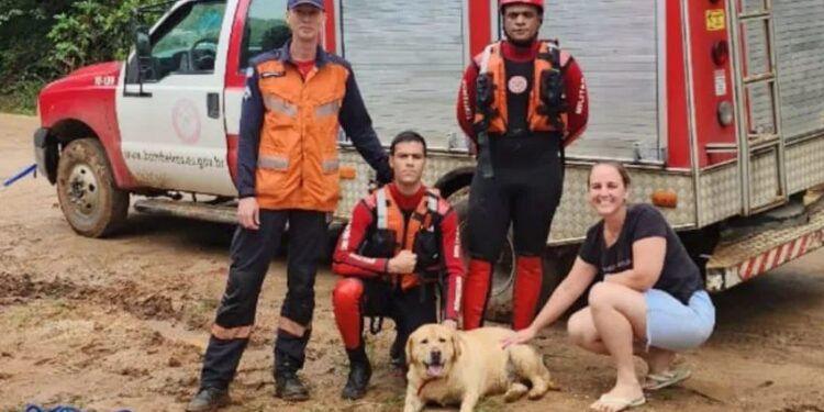 O Resgate de Athena: Bombeiros Heróis - Foto: Sesp