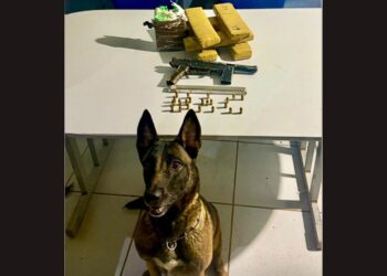 Cão da PM localiza arsenal e explosivos em Guriri - Foto: PMES