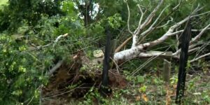 Temporal com ventos de 46 km/h causa destelhamentos em Colatina - Foto: Rede Social