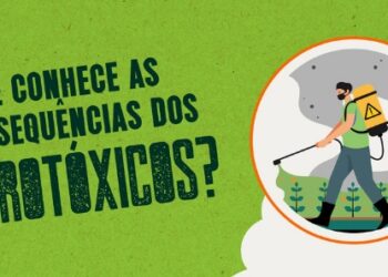 Poluição ambiental e impactos na saúde: os riscos do uso de agrotóxicos - Imagem: MPES