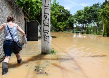 Chuvas intensas de verão podem trazer leptospirose - Foto: Reprodução