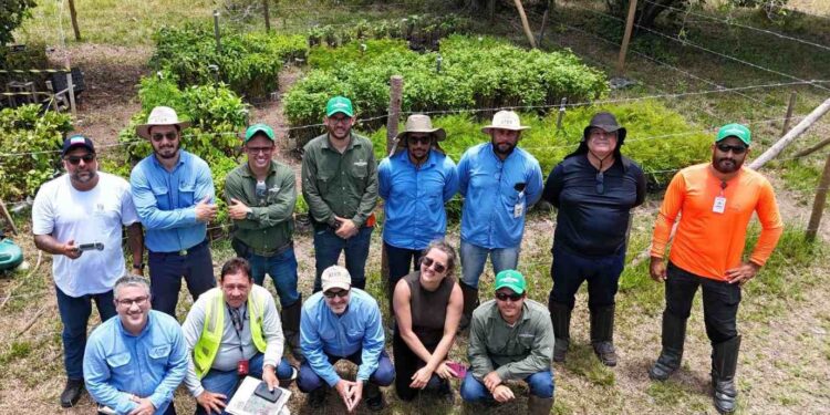 Secretaria do Rio Doce realiza monitoramento ambiental com uso de drones em Linhares - Foto: Sect