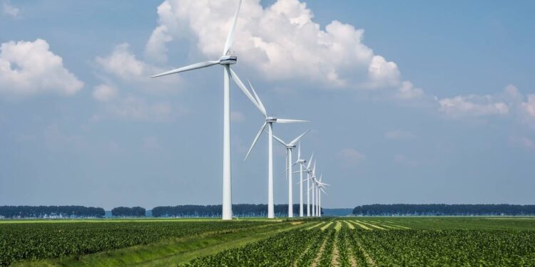 Municípios têm até 12 de janeiro para contribuir com novas regras de licenciamento de parques eólicos - Foto: Freepik