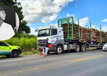 Motociclista morre após colidir com carreta parada na BR-101 em Linhares - Foto: Reprodução