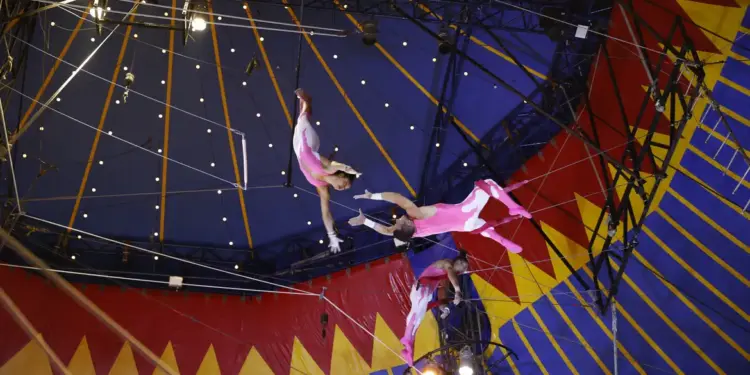 A cada R$ 1 investido via Lei Rouanet, R$ 7,59 retornaram, diz estudo - Foto: Fernando Frazão/Agência Brasil