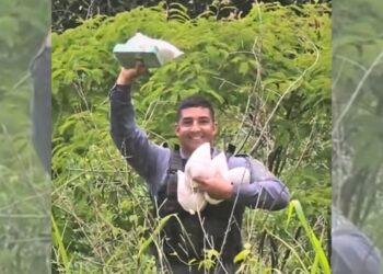 PM encontra grande quantidade de drogas enterrada em área de mata em Colatina - Foto: PMES