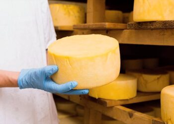 Dia do Queijo destaca a força da produção artesanal no ES - Foto: Seag