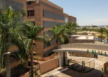 Anvisa suspende suplementos da Cycles Nutrition e da Mushin; produtos com extrato de cogumelo e ingredientes em pó são proibidos