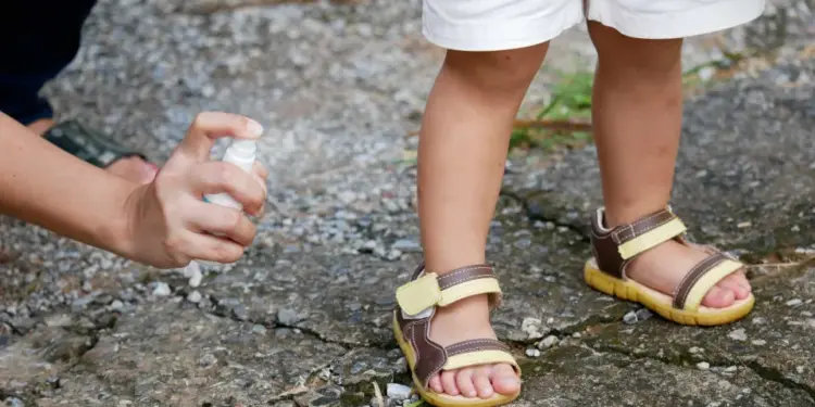 Alerta Procon: Preços de Repelentes Podem Dobrar, Chegando a Variação de 110% em Farmácias