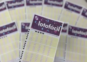 Sorte na Lotofácil: Apostador do Paraná fatura R$ 405 mil com aposta online
