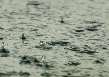 Alerta de Chuva Forte em SP: Capital em Estado de Atenção para Alagamentos e Riscos