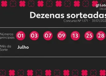 Dia de Sorte Concurso 1171: Ninguém Acerta 7 Números, Prêmio Acumula para R$ 1,2 Milhão; Veja Dezenas Sorteadas e Ganhadores