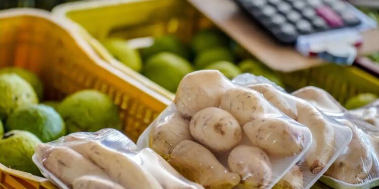 Ceasas: Ministério cria comitê para tratar de legislação das centrais - Foto: Rafa Neddermeyer/Agência Brasil