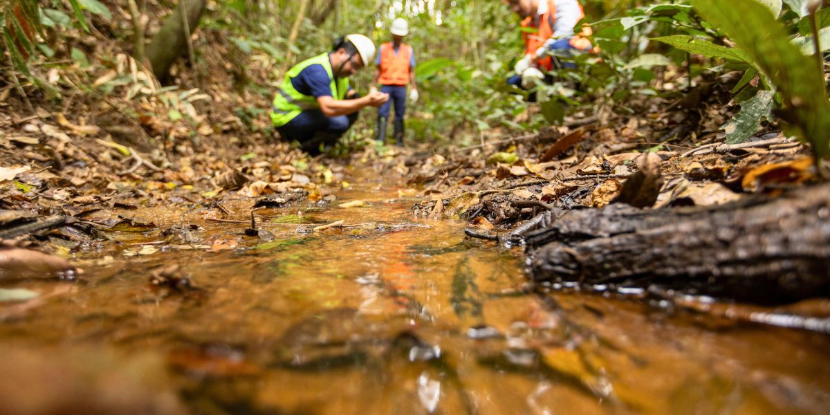 Samarco prevê conclusão de etapas do Novo Acordo do Rio Doce em 2026 - Foto: Divulgação