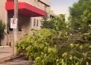 Temporal provoca falta de energia, queda de árvores e danos em bairros de Colatina - Foto: Reprodução