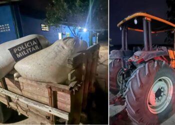 Assalto violento a fazenda deixa prejuízo de R$ 168 mil em São Mateus - Foto: PMES