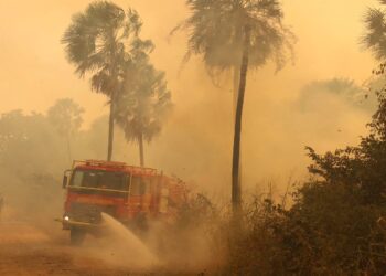 El Niño deve provocar temporais e ondas de calor no meio do ano - Álvaro Rezende/Secom-MS