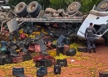 Caminhão carregado com mangas tomba na ES-220 em Nova Venécia - Foto: Internet
