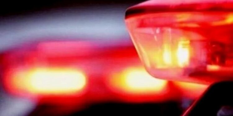 Homem é preso após matar companheiro em Pinheiros - Foto: Divulgação
