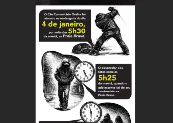 © Infográfico Polícia-SC