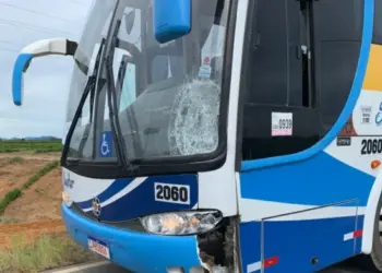 Trabalhadora rural morre atropelada por ônibus escolar na ES 245, em Linhares - Foto: Rede Social