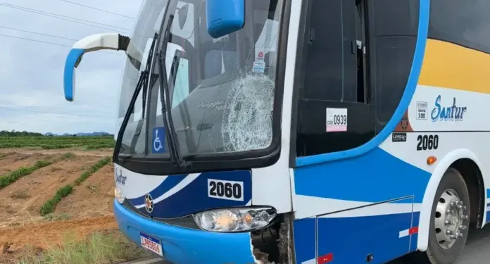 Trabalhadora rural morre atropelada por ônibus escolar na ES 245, em Linhares - Foto: Rede Social