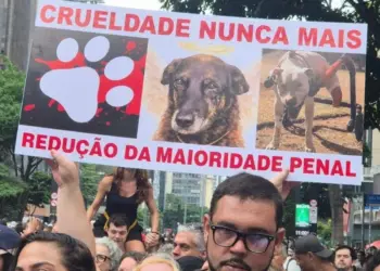 Protesto na Av. Paulista clama por justiça para cão agredido em Santa Catarina; investigação avança