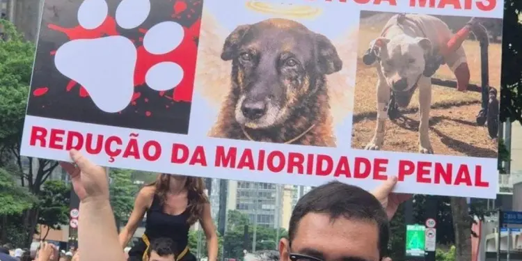 Protesto na Av. Paulista clama por justiça para cão agredido em Santa Catarina; investigação avança