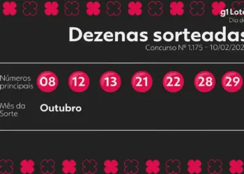 Dia de Sorte: Uma aposta leva mais de R$ 2,5 milhões no concurso 1175; confira os números sorteados