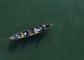 Mais de 76 mil pescadores tiveram licenças canceladas após decisão do MPA - Foto: Fernando Frazão/Agência Brasil