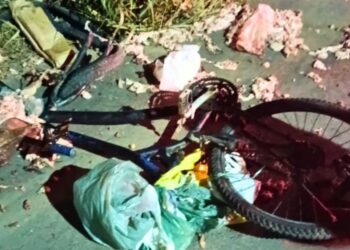 Atropelamento fatal na ES-446 em Colatina - Foto: Rede Social