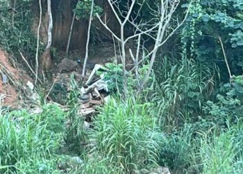 Acidente com caminhão deixa dois mortos em Baixo Guandu - Foto: Rede Social