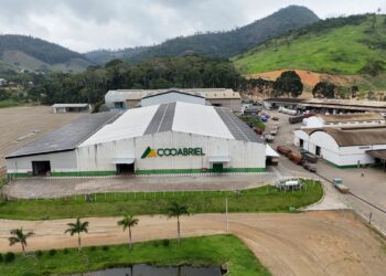 Cooperados da Cooabriel somam mais de R$2,2 milhões em premiação por cafés sustentáveis - Foto: Divulgação