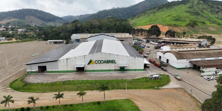 Cooperados da Cooabriel somam mais de R$2,2 milhões em premiação por cafés sustentáveis - Foto: Divulgação