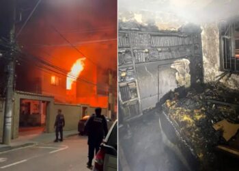 Idosa e cães escapam de incêndio em Colatina - Foto: Reprodução