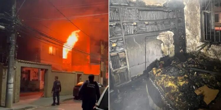 Idosa e cães escapam de incêndio em Colatina - Foto: Reprodução