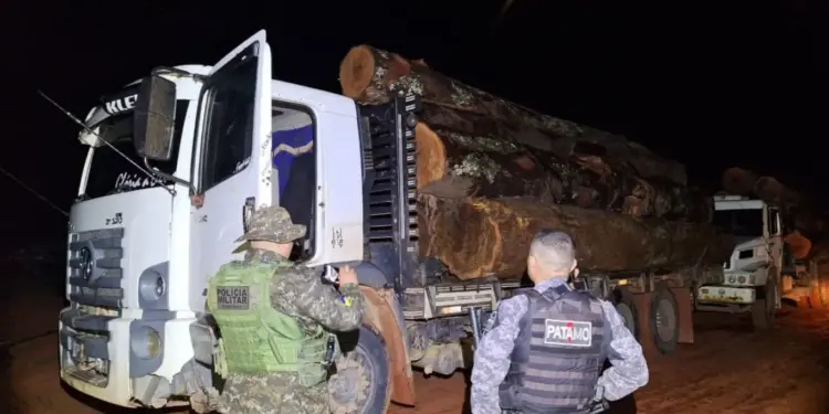 Comboio com Madeira Ilegal Abandonado em Área Protegida de Rondônia Mobiliza Forças de Segurança