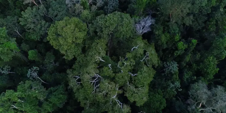 Previdência e BNDES articulam inclusão de critérios ESG na gestão de fundos de pensão para ampliar financiamento da transição ecológica