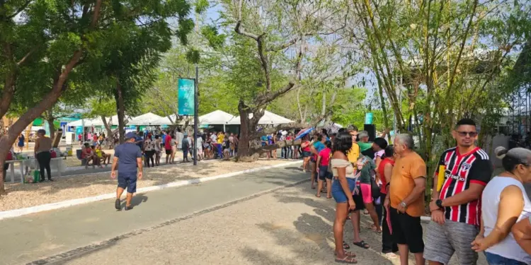 Assembleia em Ação leva mais de 30 serviços gratuitos para a Zona Sul de Teresina neste sábado