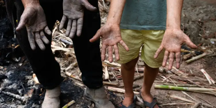 Um mês após chuvas históricas em MG: famílias ainda lutam para reconstruir casas, renda e vidas após 73 mortes e milhares desabrigados